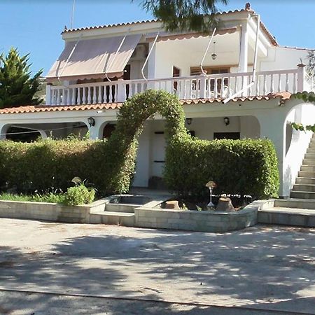 Το Κτήμα Της Ελιάς Του Τάκη Guest House Paralia Demonias ภายนอก รูปภาพ