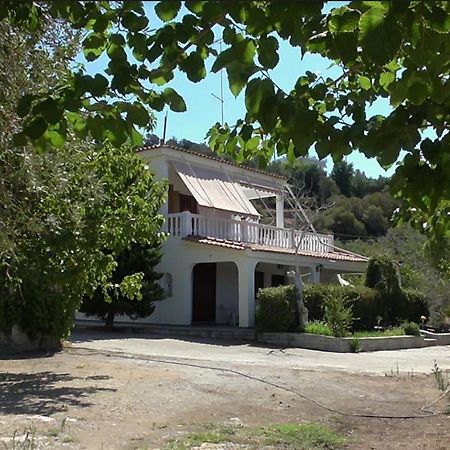 Το Κτήμα Της Ελιάς Του Τάκη Guest House Paralia Demonias ภายนอก รูปภาพ