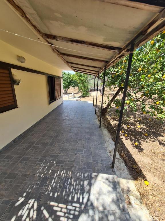 Το Κτήμα Της Ελιάς Του Τάκη Guest House Paralia Demonias ภายนอก รูปภาพ
