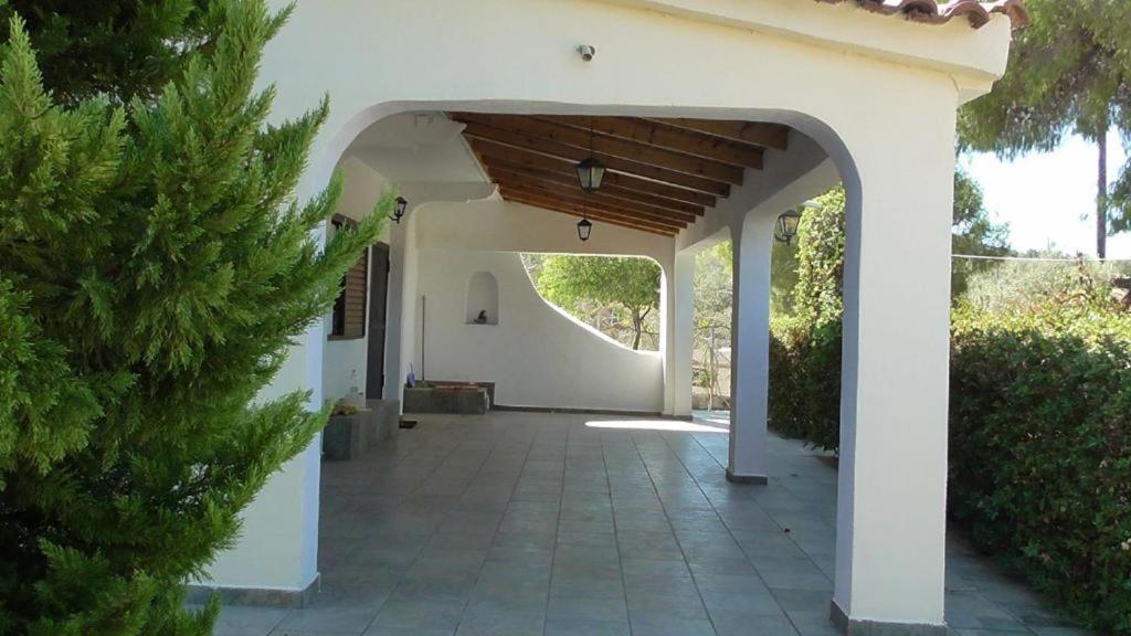 Το Κτήμα Της Ελιάς Του Τάκη Guest House Paralia Demonias ภายนอก รูปภาพ