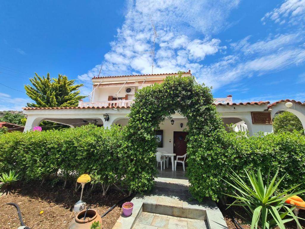 Το Κτήμα Της Ελιάς Του Τάκη Guest House Paralia Demonias ภายนอก รูปภาพ