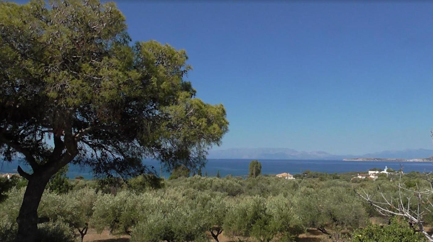 Το Κτήμα Της Ελιάς Του Τάκη Guest House Paralia Demonias ภายนอก รูปภาพ