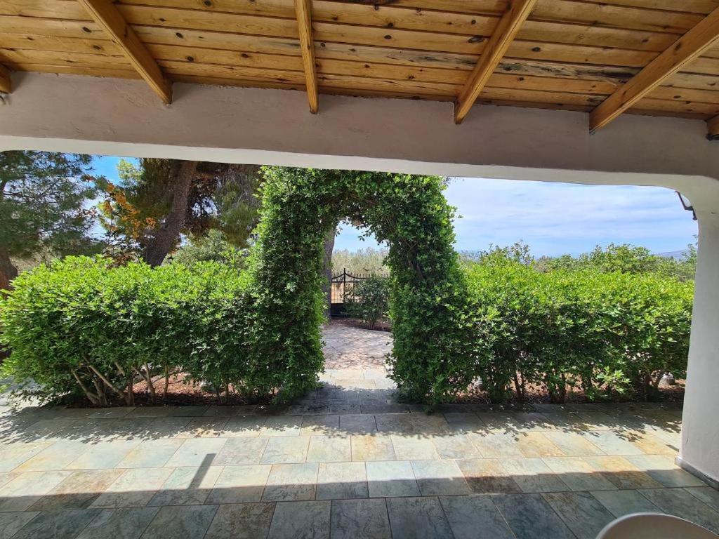 Το Κτήμα Της Ελιάς Του Τάκη Guest House Paralia Demonias ภายนอก รูปภาพ